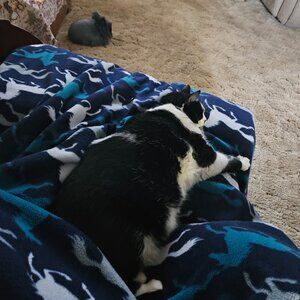 Meet your Posher, Christy